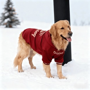 宠物狗冬衣服狗狗衣服2025新款 边牧金毛中大型犬加厚保暖卫衣 冬装