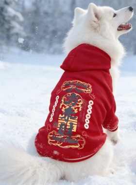 中大型犬保暖狗衣服狗狗衣服2025新款冬装新年红色卫衣金毛萨摩耶