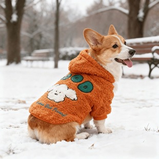 2025新款 加绒加厚卫衣法斗柯基中小型犬宠物狗衣服狗狗衣服 秋冬装