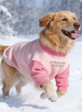 中大型犬加厚保暖冬天外出狗衣服狗狗衣服2025新款冬装金毛萨摩耶