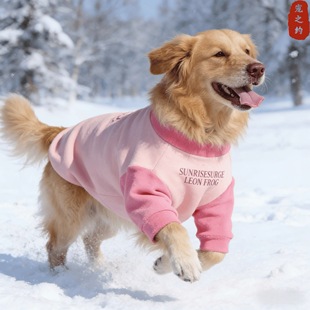 中大型犬加厚保暖冬天外出狗衣服狗狗衣服2025新款 金毛萨摩耶 冬装