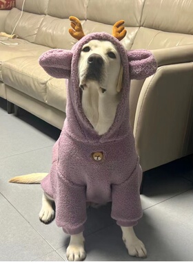 冬天中型大型犬边牧冬季金毛卫衣狗狗衣服拉布拉多萨摩耶宠物大狗