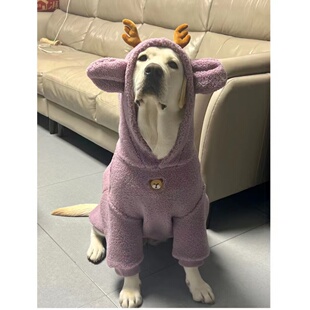 冬天中型大型犬边牧冬季金毛卫衣狗狗衣服拉布拉多萨摩耶宠物大狗