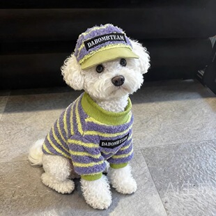 狗狗衣服中小型犬秋冬保暖加绒加厚雪纳瑞泰迪比熊博美小狗衣服潮