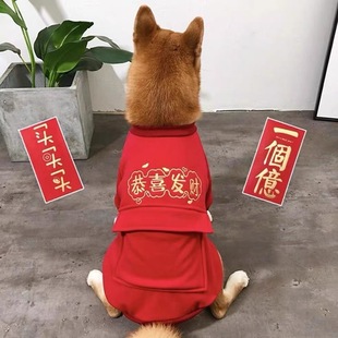 柯基小型中型犬过年装泰迪犬拜年服冬款加绒狗狗新年红色喜庆衣服