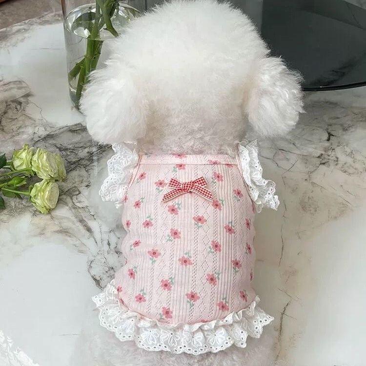宠物衣服春夏新款碎花蕾丝吊带短款公主裙泰迪比熊狗狗猫咪居家服