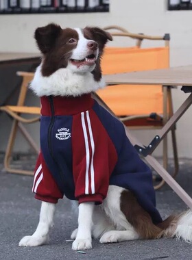 杜宾边牧拉布拉多保暖拉链外套潮牌中大型狗狗衣服加绒加厚秋冬季