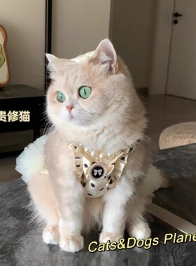 猫咪狗狗夏款清凉公主裙波点蓬蓬裙可爱防掉毛金渐层蓝猫比熊犬猫