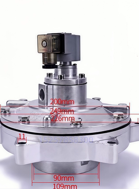 CA50MM PRETTYGOYEN  淹没式脉冲阀 2寸淹没式电磁脉冲阀