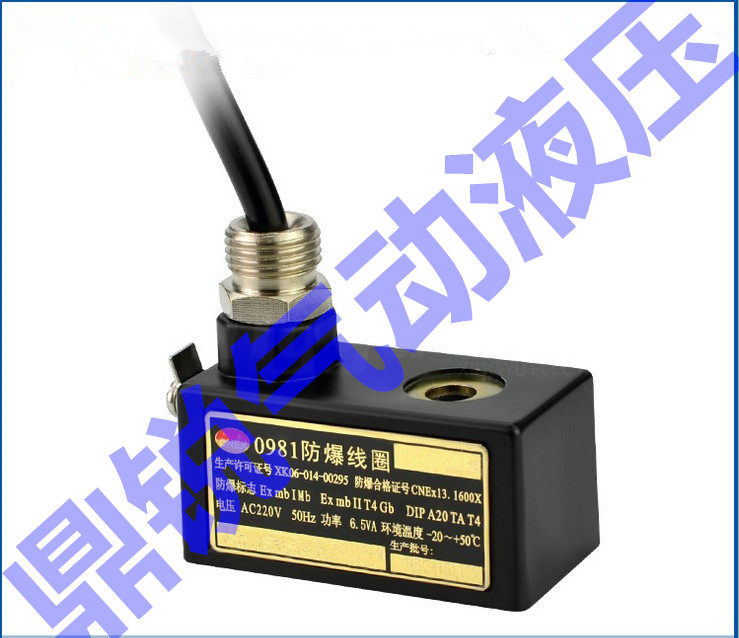 9通径ExmbIMb ExmbII T4 Gb4V210防爆电磁阀防爆线圈0980 0981