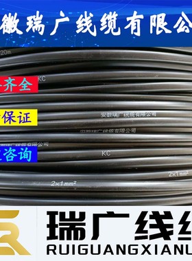 ZA-JYVP-2B、ZC-JYPVR-2、ZBJYPV-2瑞广牌ZR-JYPV-2B、ZR-JYVP-2B