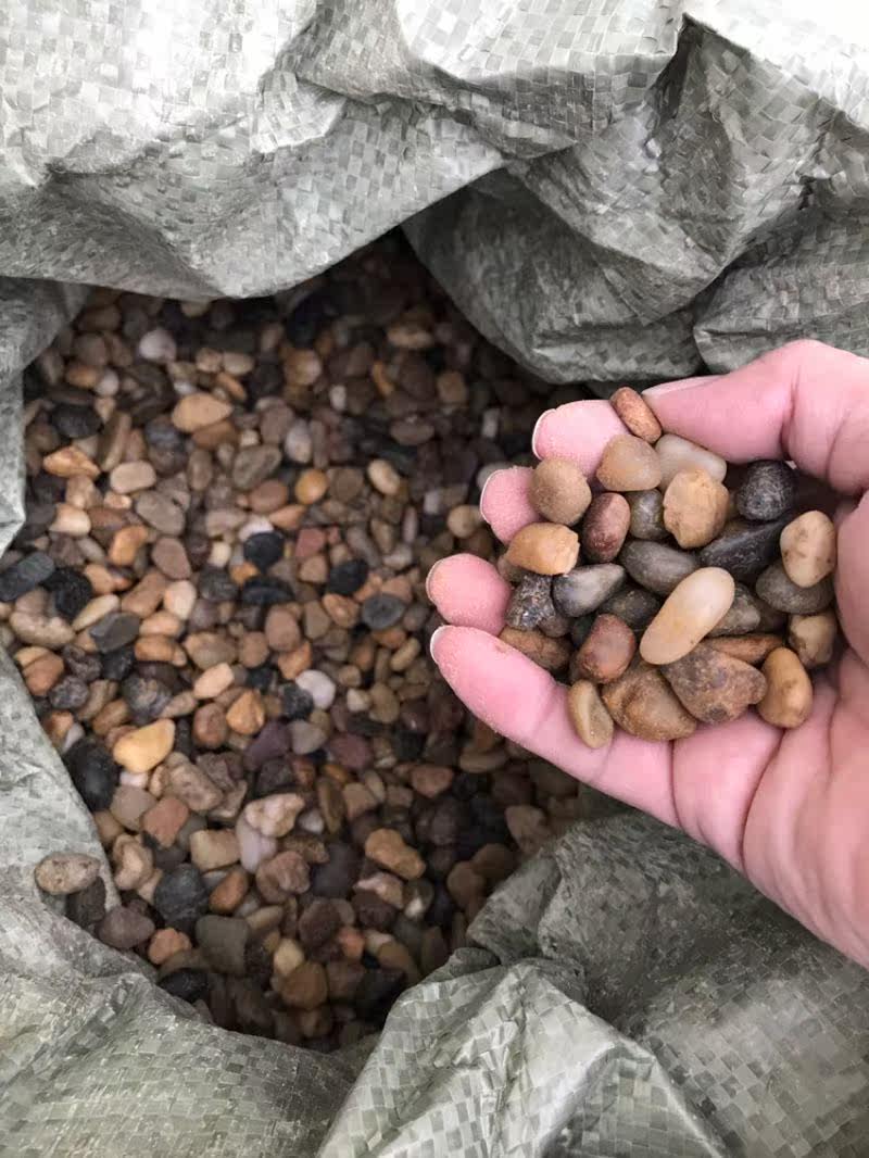 多肉压盆石鹅卵石鱼缸沼泽过滤石头家装地暖专用豆石水洗滤料找平在类目 基础建材, 沙/石, 鹅卵石中 - 来自Buy2taobao.com提供专业的淘宝代购服务