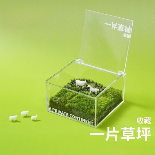 治愈系创意迷你微景观一片草坪