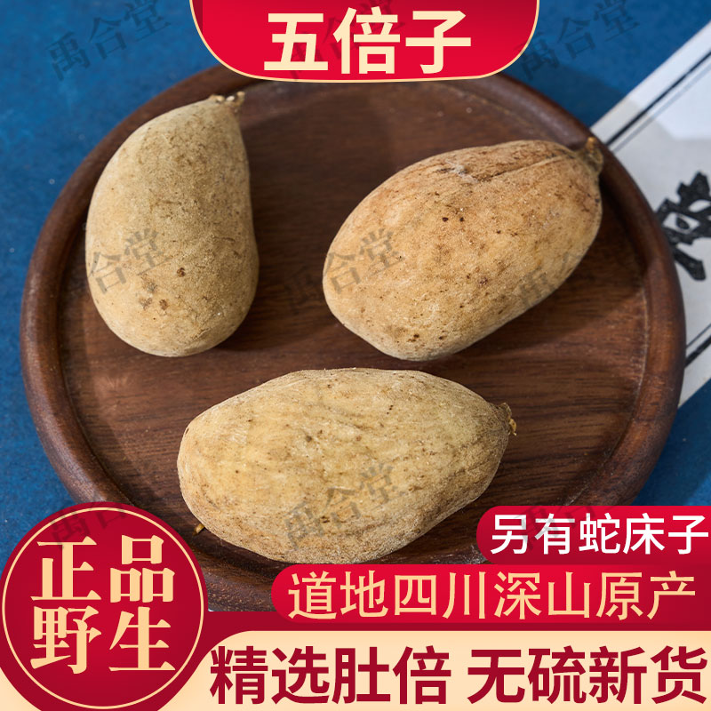 正品野生五倍子药材 百虫仓五贝子 敏感五倍子贝碚肚倍整个禹合堂