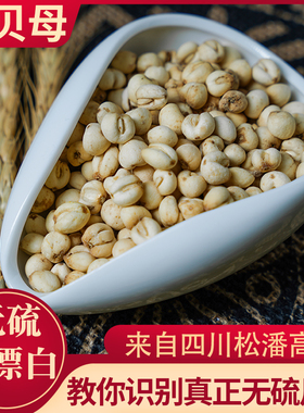 川贝母100g四川仿野生种植川贝母无硫非野生松贝农家可打粉