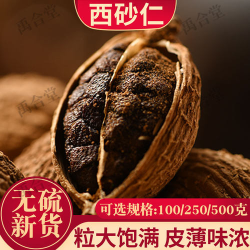 西砂仁缩缅甸海南100/250/500g