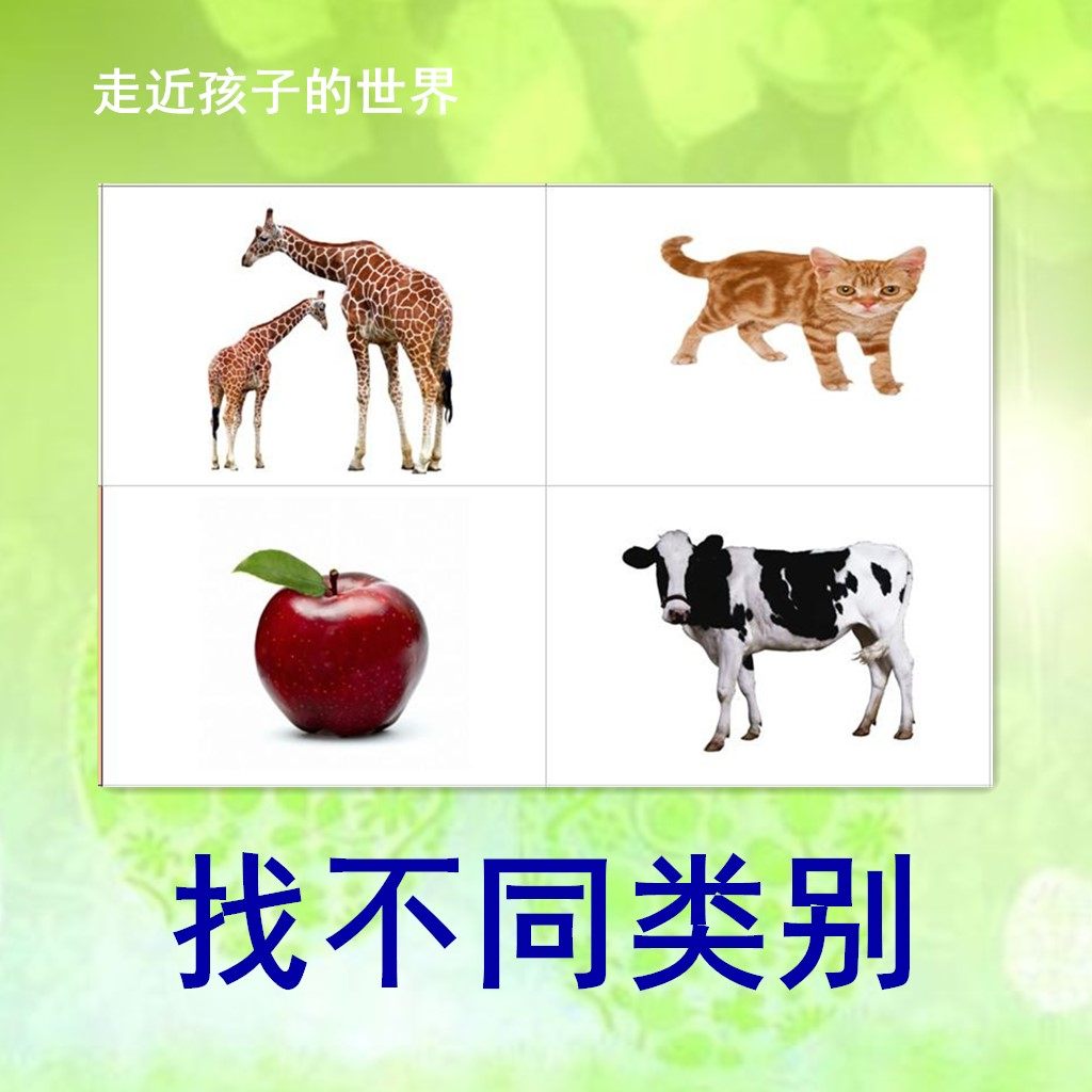 找不同类别 自闭症儿童康复训练塑封卡片益智发育迟缓aba教具玩具