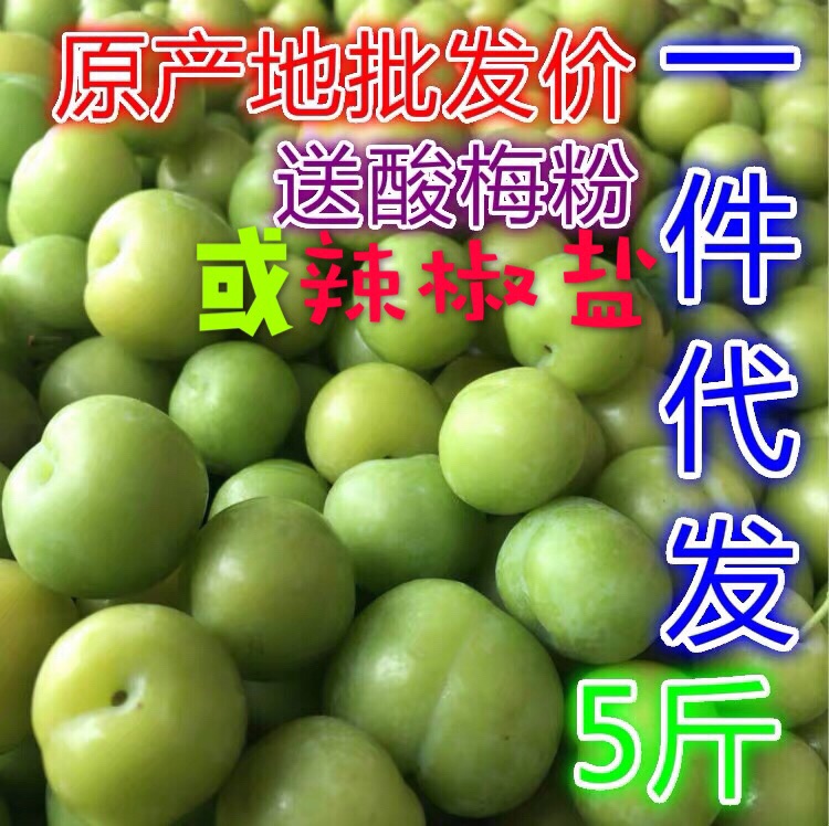 李憲強著