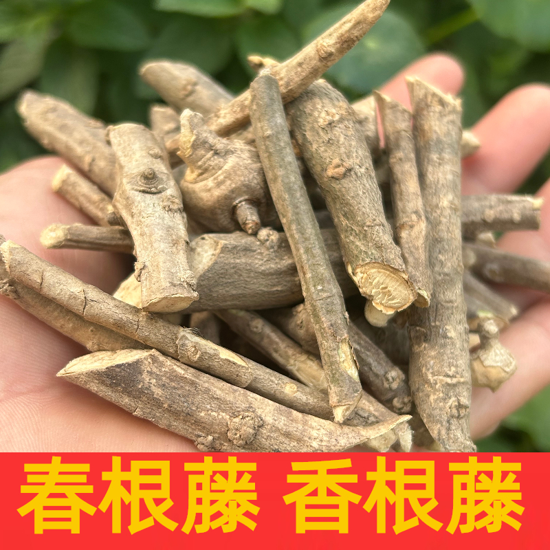 野生春根藤香藤根干货小叶瓜子伸筋藤过山香草根煲汤材料500g包邮