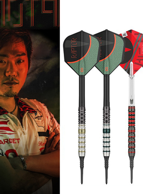 TARGET探极日本西谷让二系列PRIME SERIES RAPTOR90钨钢软式飞镖