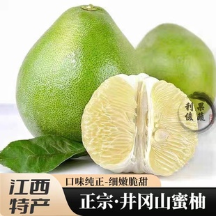 正宗安福蚕子金兰柚井冈蜜柚沙田白心冰糖柚江西吉安白水特产水果