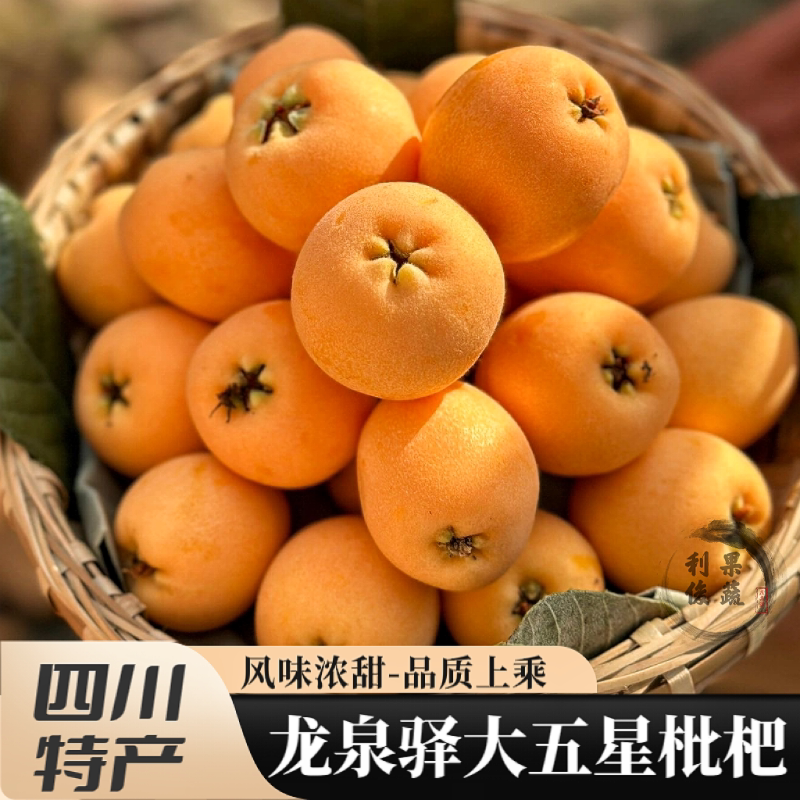 正宗四川龙泉驿大五星枇杷新鲜水果现摘山琵琶果汉源成都特产5斤