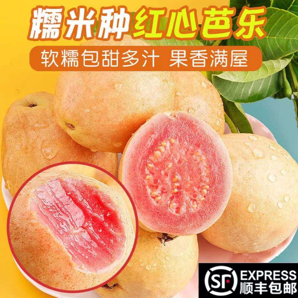 【顺丰包邮】新鲜红心芭乐水果软糯5斤漳州小土芭乐福建番石榴脆