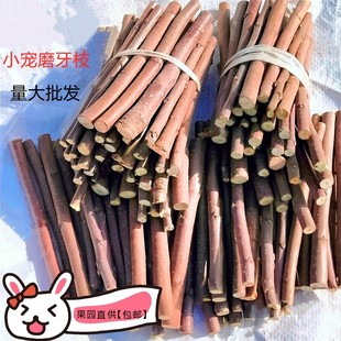 太行山新鲜苹果枝一斤 500g 仓鼠兔子龙猫荷兰猪零食磨牙