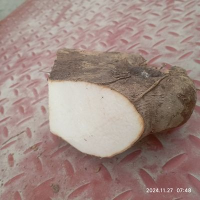 广西钟山本地品种新鲜脚板紫大薯农家现挖白心薯大毛薯做汤