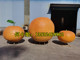 果园文旅景区定制大型仿真橘子雕塑玻璃钢脐橙子柿子水果模型摆件