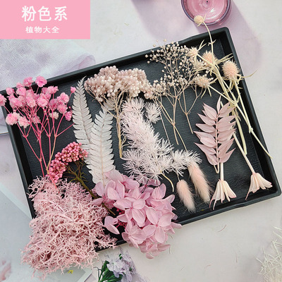 粉色系列花材集合永生花保鲜花