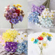 小甘菊银铃花紫罗兰木槿花文心兰干花宝石兰手工粘接花家居装 饰