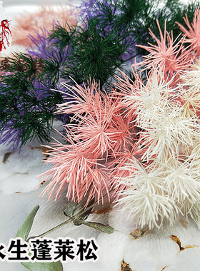 蓬莱松永生花花材手工制作配材DIY材料包配材烟花花束花语长寿