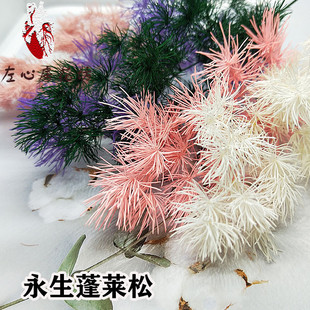 蓬莱松永生花花材手工制作配材DIY材料包配材烟花花束花语长寿