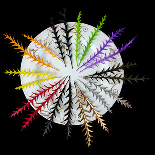 永生剑齿叶ins北欧风蕨类植物高山羊齿插花花束家居装饰配材配叶