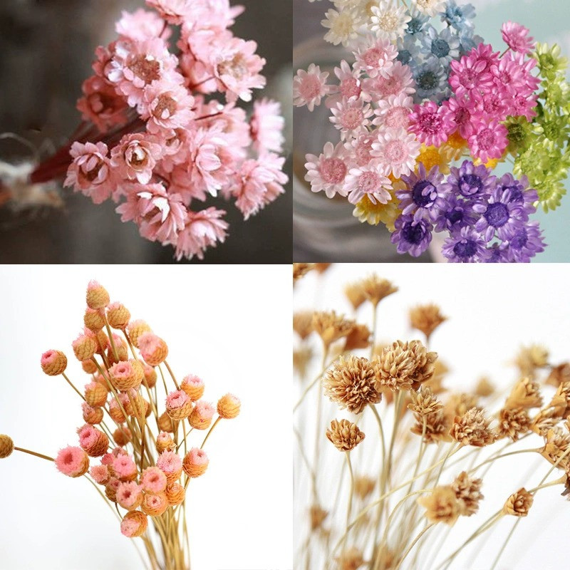 进口小星花快乐花山花DIY永生花