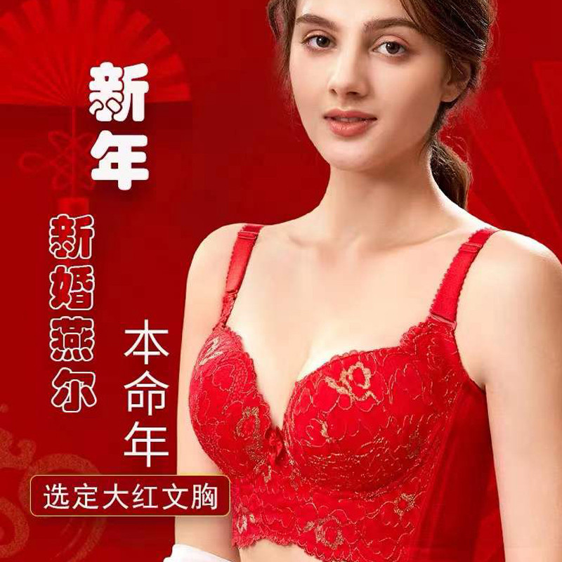 西施尔五排扣厚杯小胸文胸聚拢显大收副乳调整型内衣软钢圈防下垂