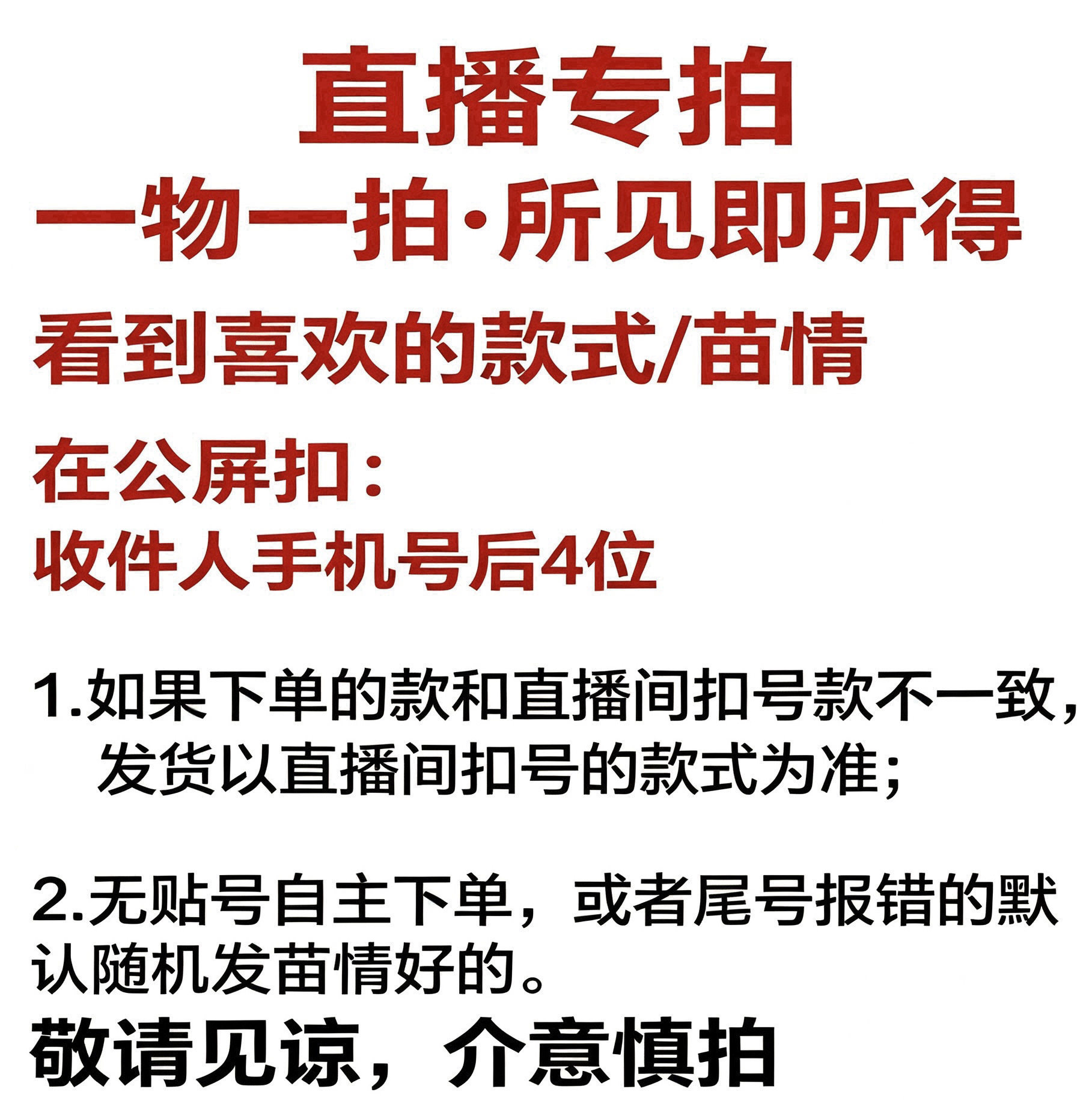 月季花一物一拍双盆阳台庭院多棵月季/蔷薇/玫瑰