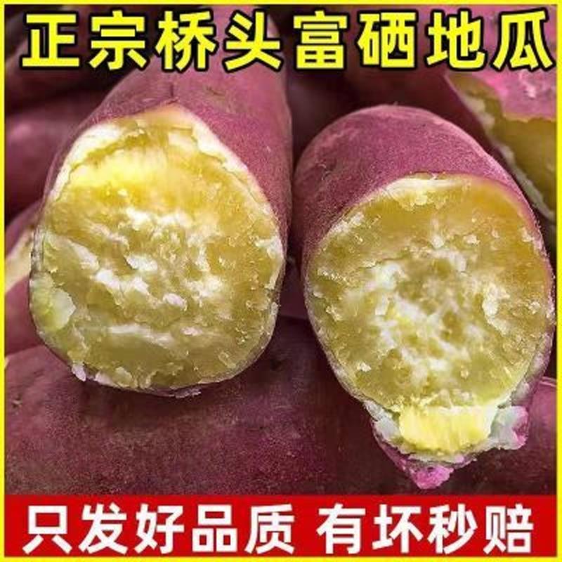 海南桥头富硒地瓜5/10斤