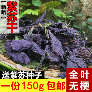 费 野生紫苏叶农家日晒新鲜紫苏叶干紫苏梗去腥烧鱼虾蟹香料150g 免邮