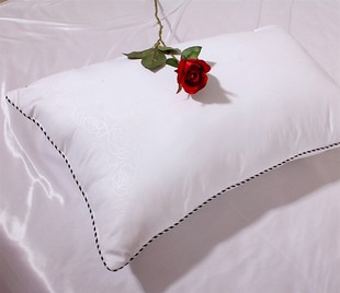 颈椎 包邮 单人枕芯 特价 超柔舒适九孔 单个装 枕头 保健枕