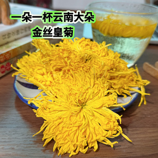 买1送1云南金丝皇菊清火一朵一杯买2送枸杞特选罐装大朵黄菊花茶