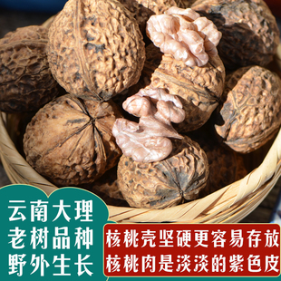 新货紫皮核桃仁云南大理野生娘亲紫米蝶衣孕妇坚果零食尖嘴核桃果