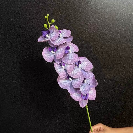 9头3D胶片蝴蝶兰仿真花高