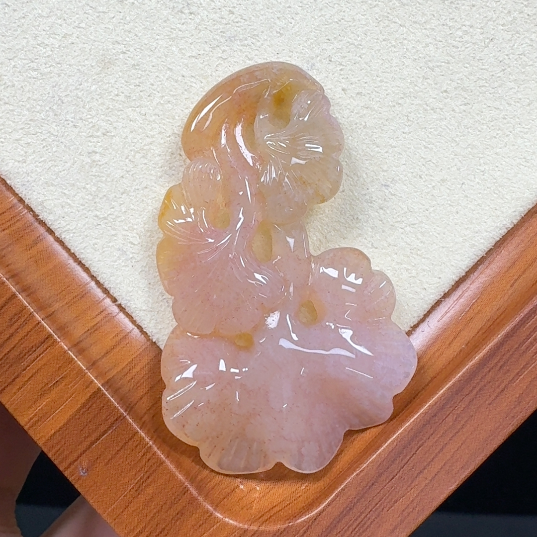 粉冰小雏菊花 三生有幸  美丽