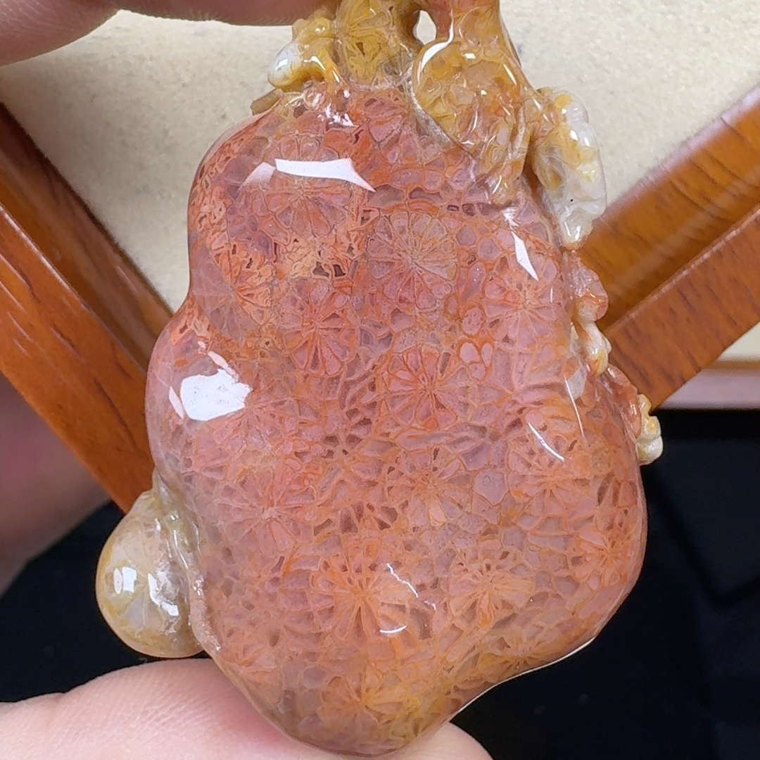 红瓷片雷丝花  安居乐业