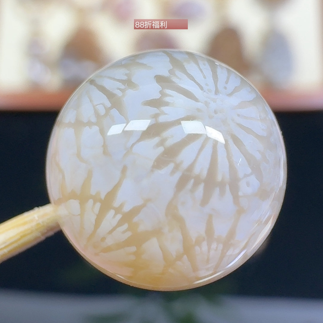 冰润纯色大花 美丽 13+