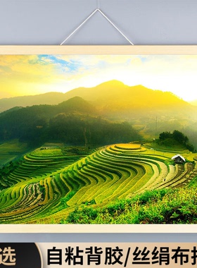 梯田稻田大靠山风景装饰画挂画