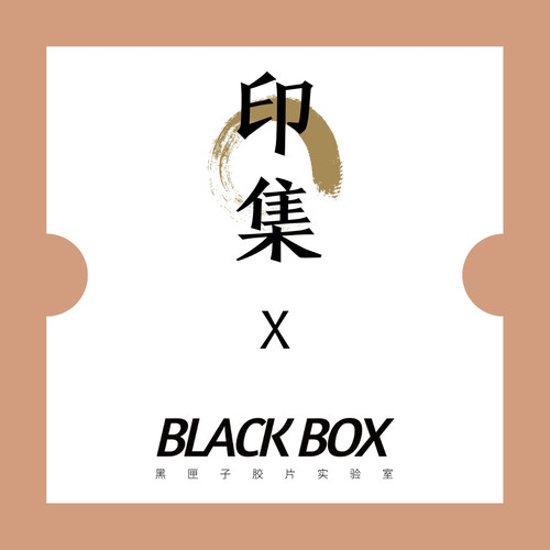 印集专用券专拍