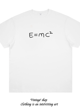 爱因斯坦质能方程E=mcc物理纯棉短袖趣味小众创意休闲男女T恤